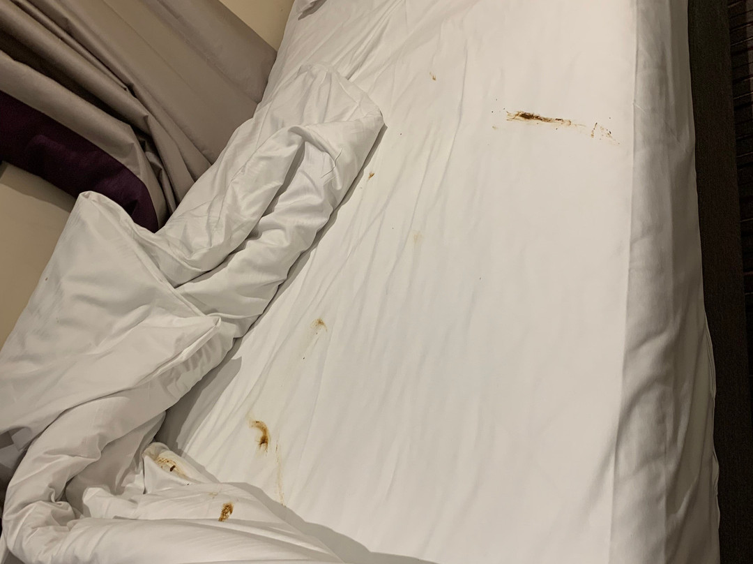 Premier Inn London Wimbledon (Broadway) hotel主图