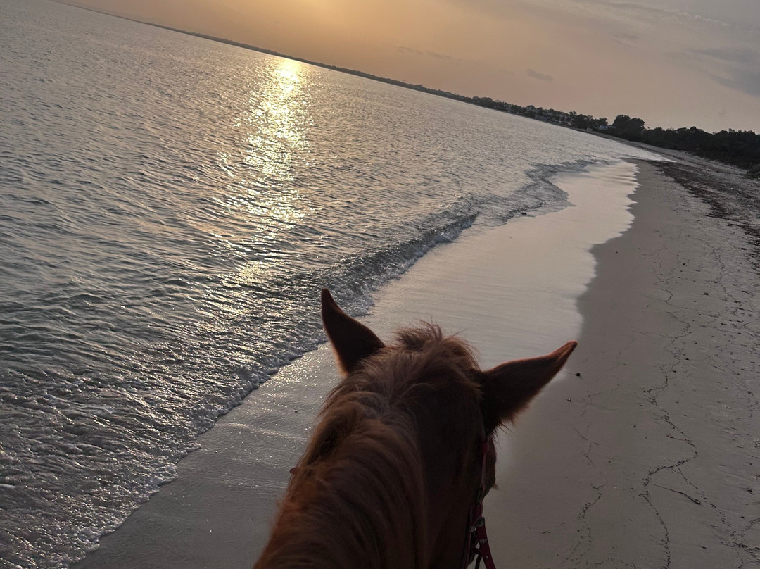 Club Equus Hammamet-哈玛麦德必去景点