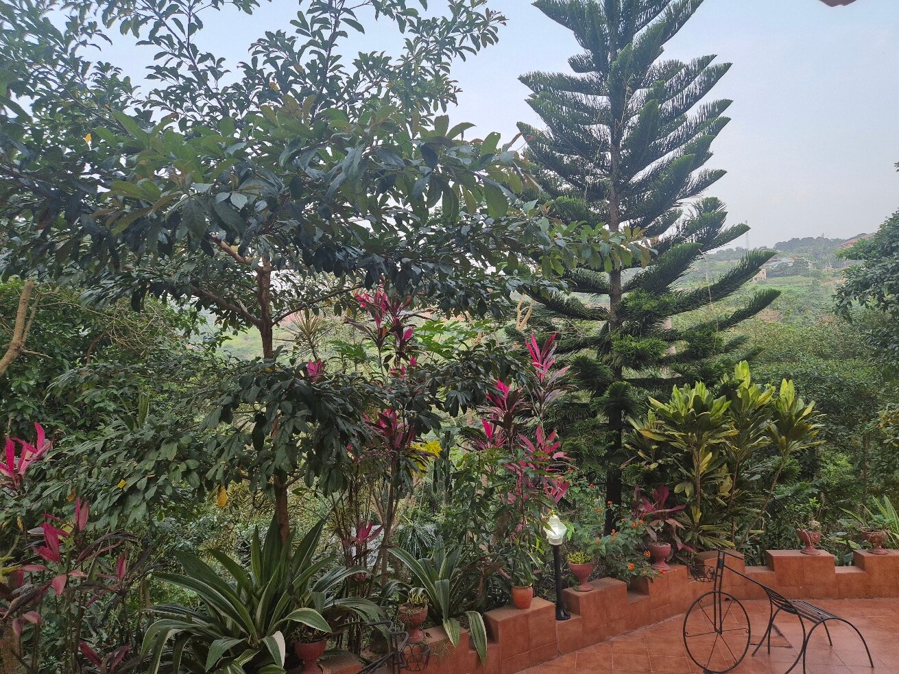 Cactus Creek Ghana Hotel-官方
