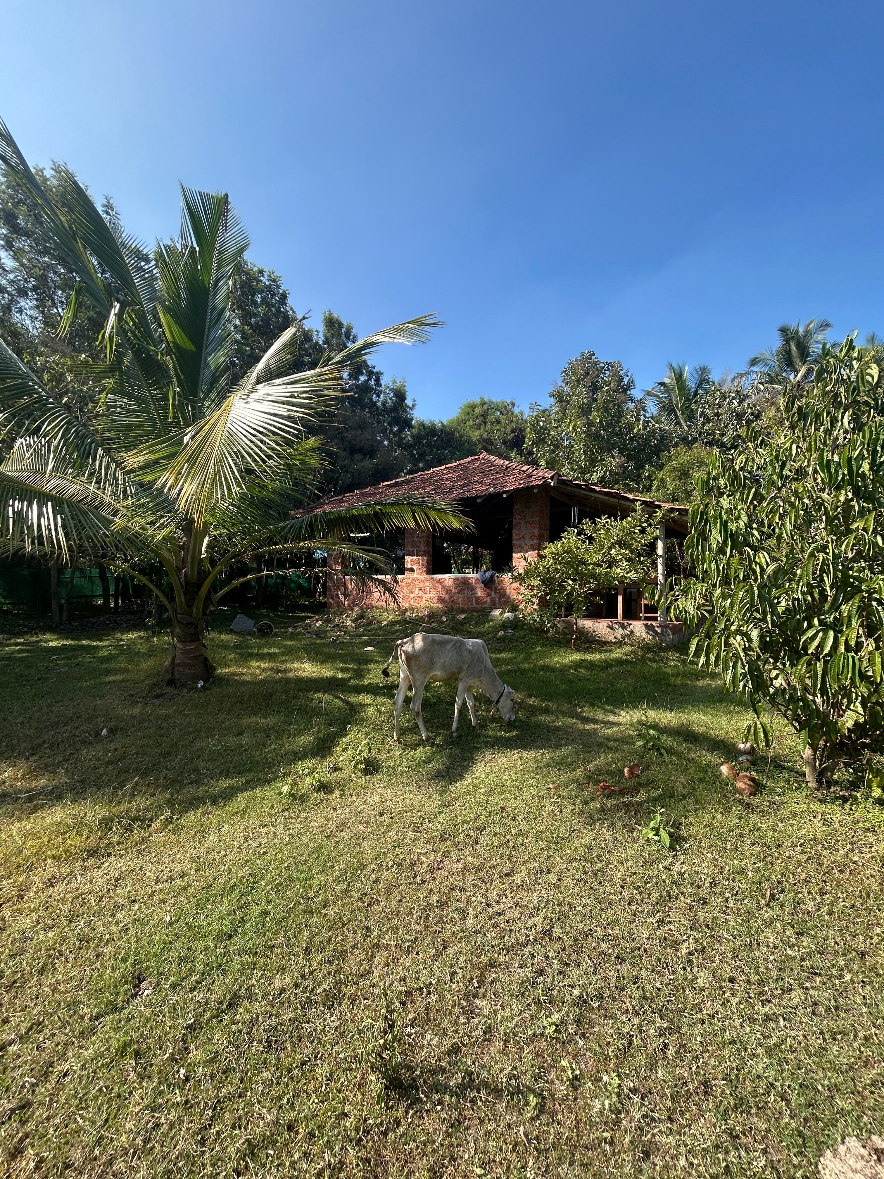 Anahata Healing Arts Center-官方