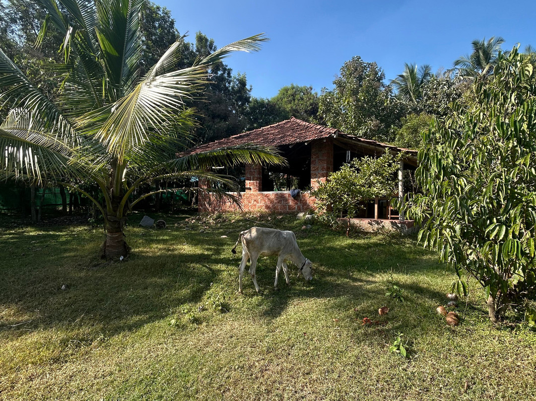 Anahata Healing Arts Center主图