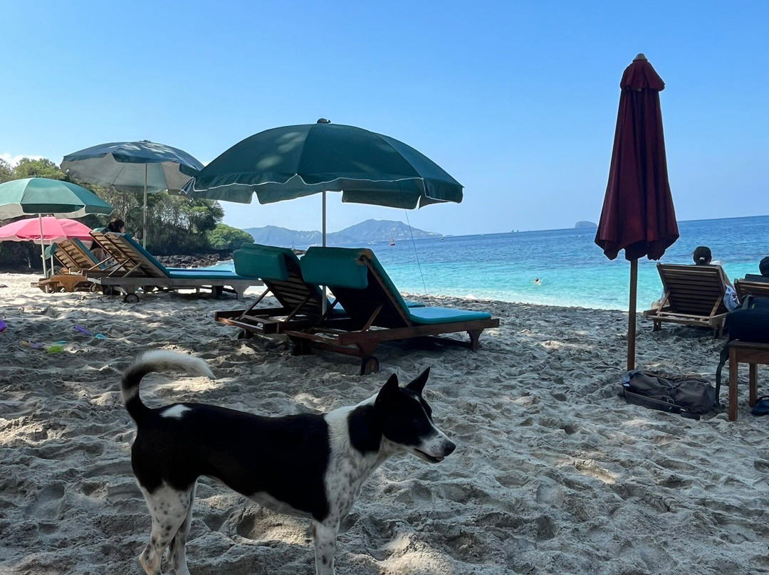 Bias Tugel Beach景点图片