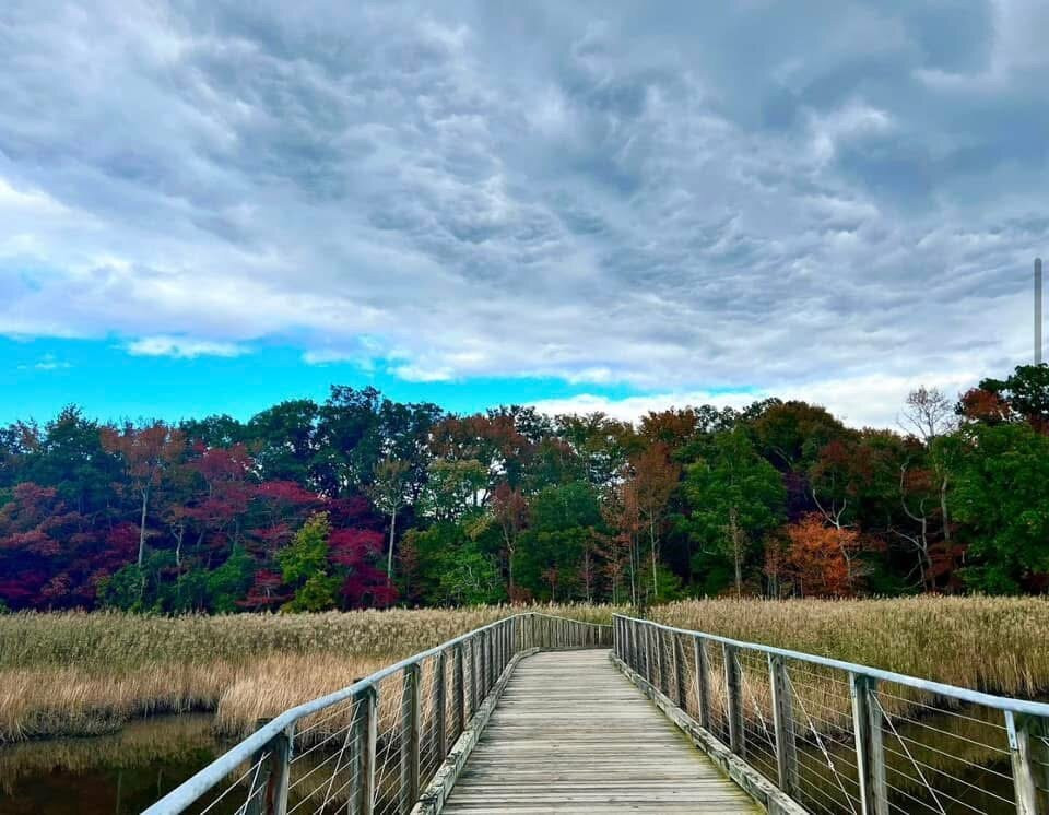 Marshy Point Nature Center景点图片