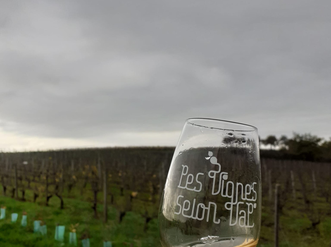 Les Vignes Selon Val景点图片