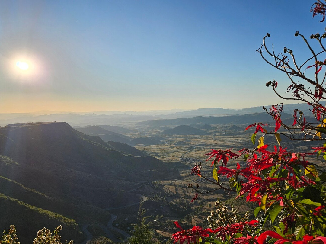 Top Twelve Hotel主图