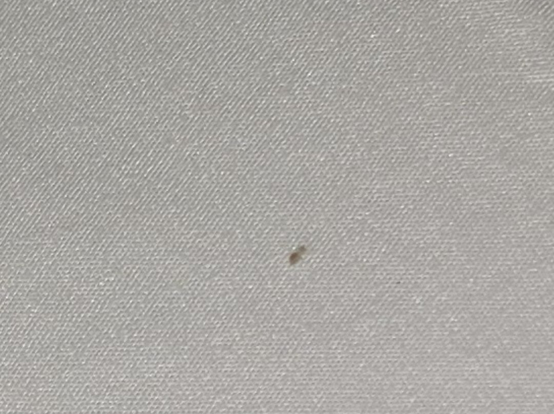 Best Western Milton Inn主图