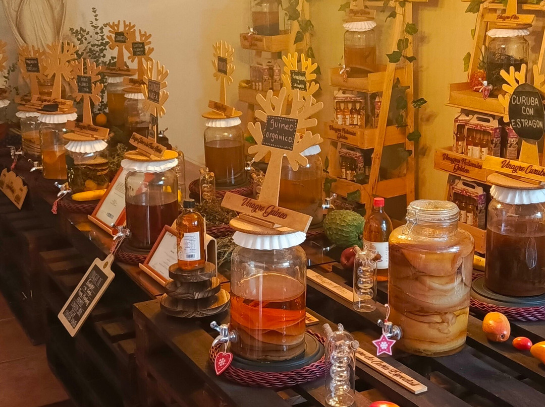 Museo Del Vinagre-卡利必去景点