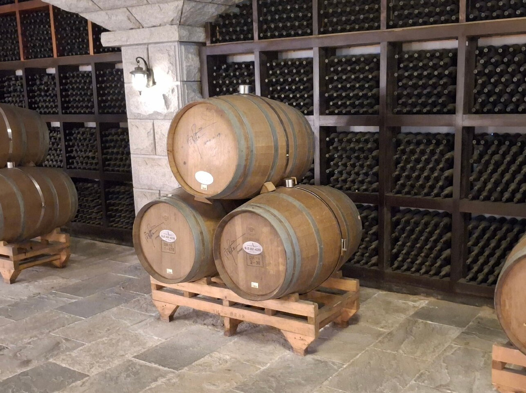 张裕国际葡萄酒城-烟台市必去景点