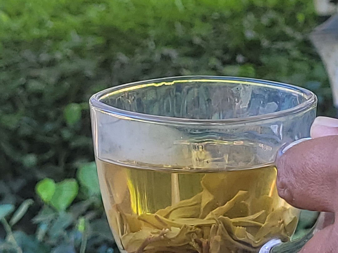 Blossom Exotica景点图片