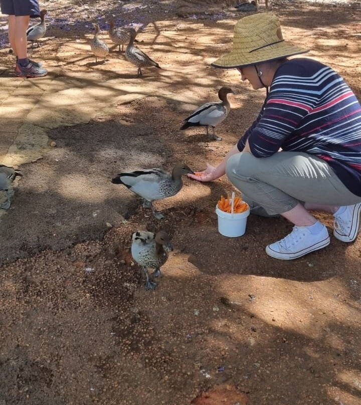 Countrylife Farm景点图片