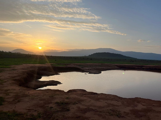 Grivet Tours And Safaris-马林地必去景点