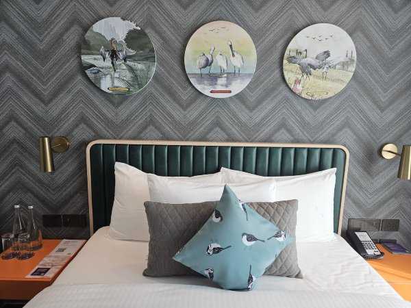 宜必思尚品迈索尔酒店-客卧