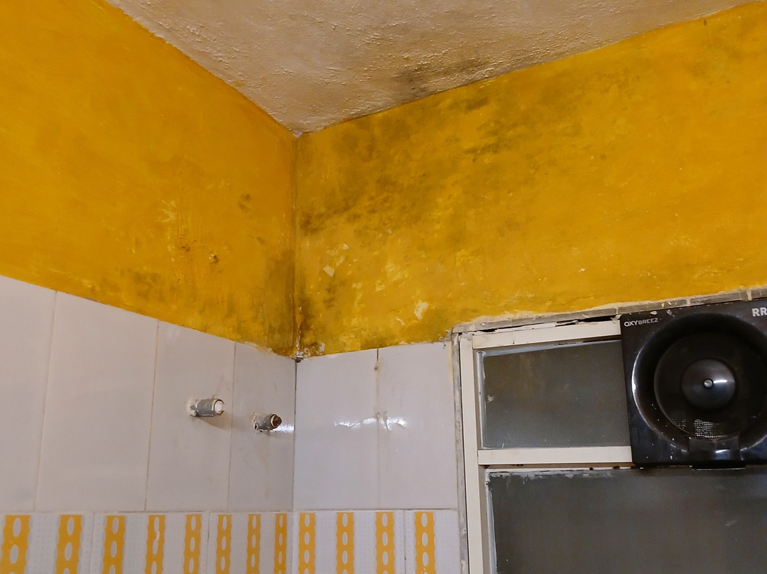 Valley Wood Resort And Spa主图