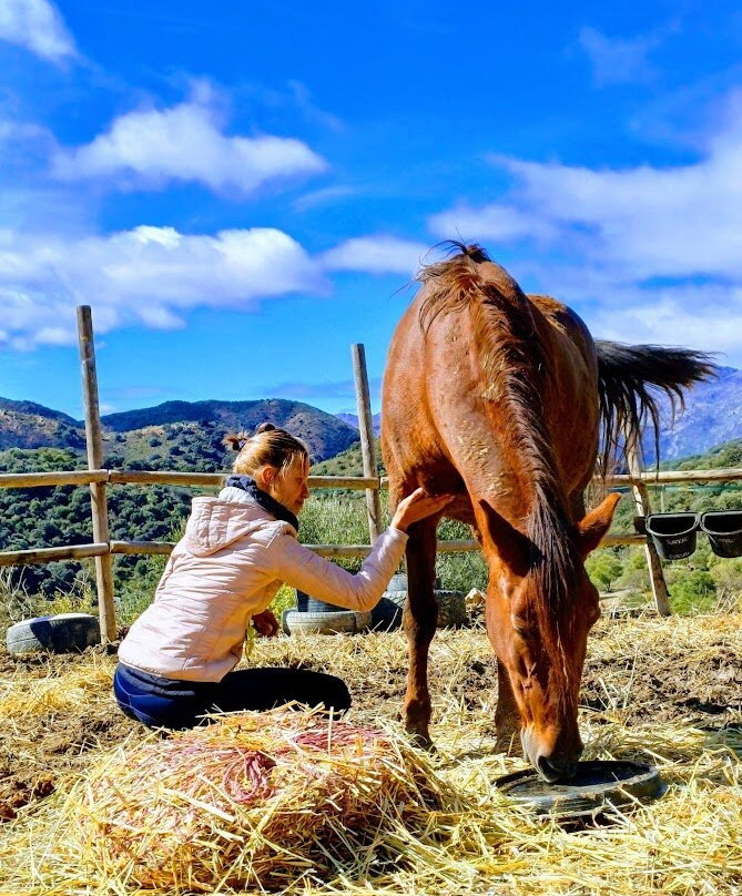 Time and Space Equine Education Sanctuary-Atajate必去景点