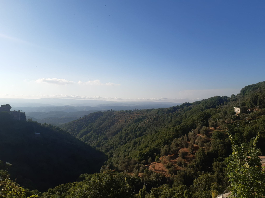 B&B Domenico Cesarelli主图