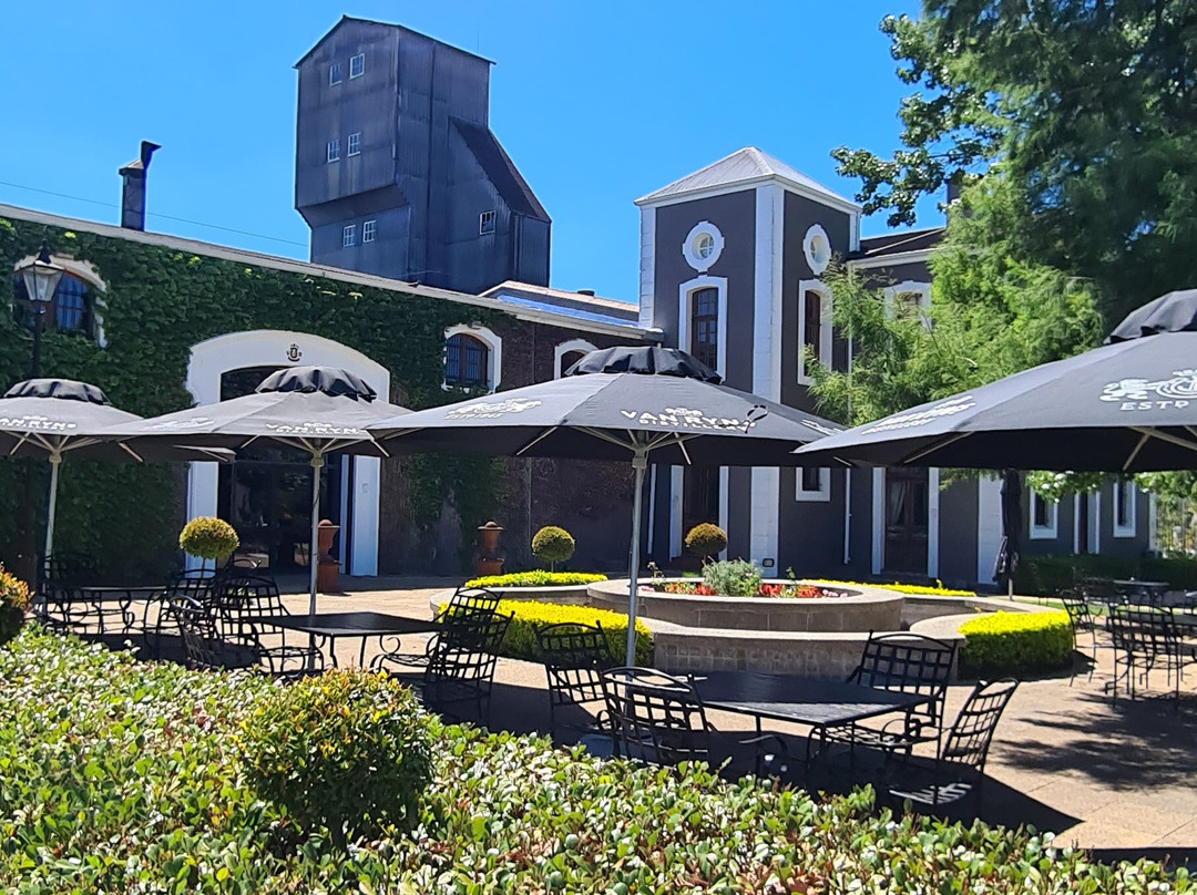 Van Ryn's Distillery and Brandy Cellar-斯泰伦博斯必去景点
