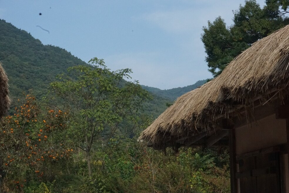 Oeam Folk Village-牙山市必去景点