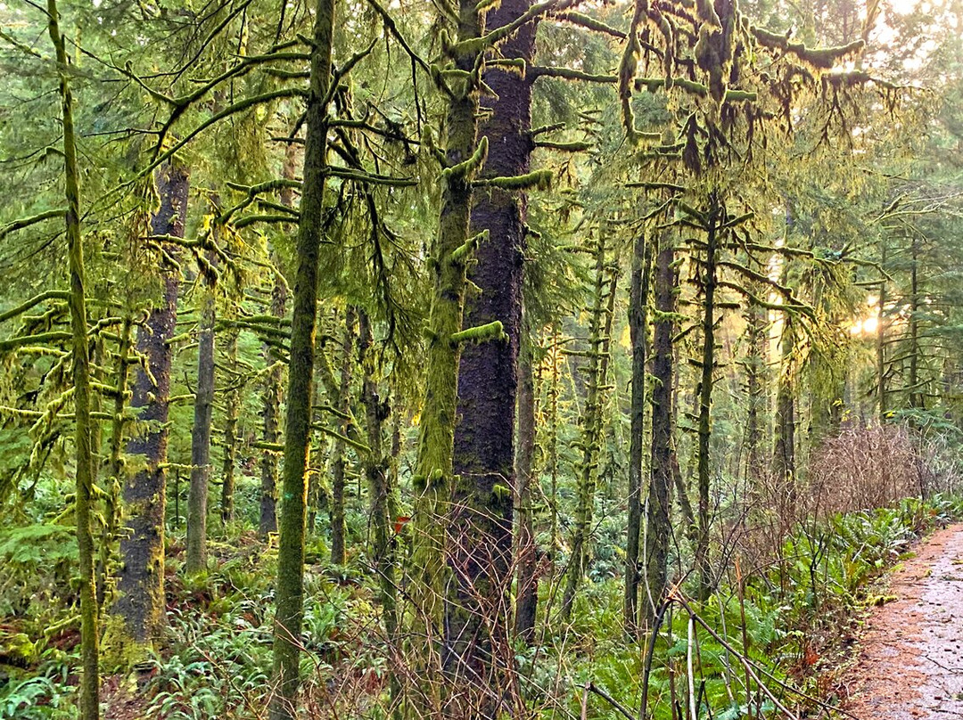 Oregon Coast-俄勒冈必去景点
