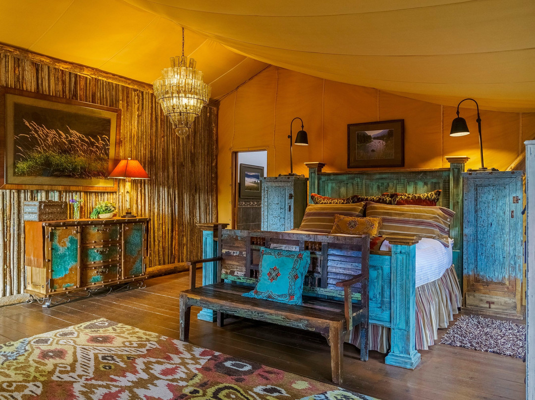 Paws Up Montana主图