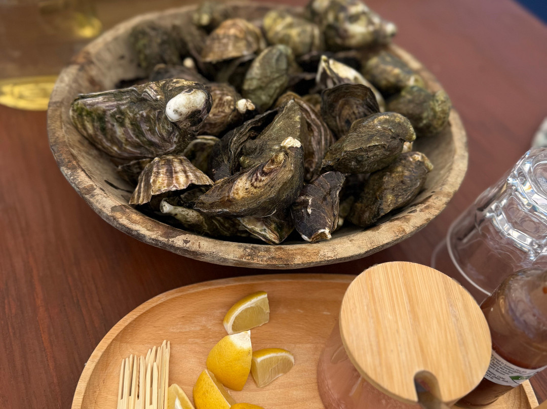 Nz Oyster Farm Tours-Mahurangi East必去景点