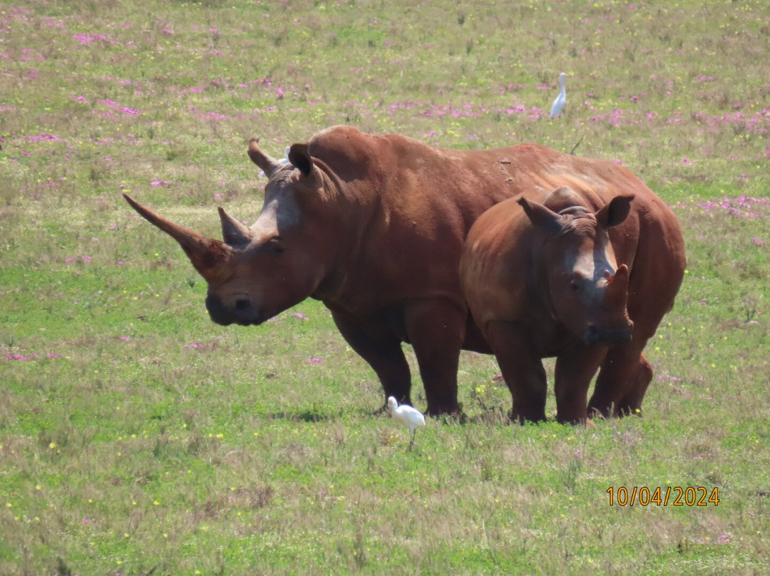 CapeXtreme Adventure Tours-开普敦中心区必去景点