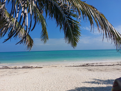 Mexico Kan Tours-图伦必去景点