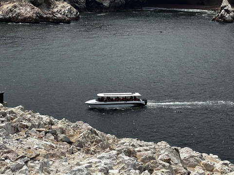 Paracas Sights & Tours-帕拉卡斯必去景点