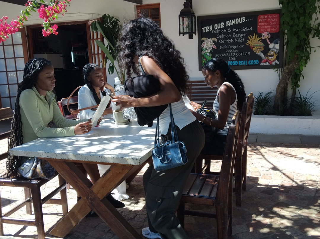 Cape Town Ostrich Ranch-开普敦中心区必去景点