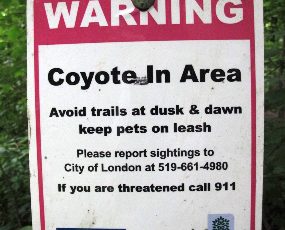 Kains Woods-伦敦必去景点