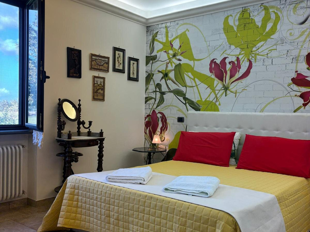 B&b  Il Papavero主图