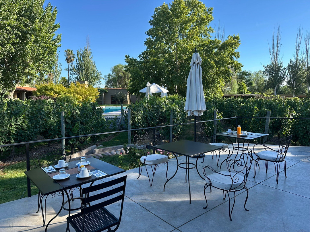 Posada Verde Oliva主图