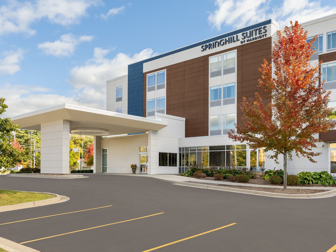 SpringHill Suites by Marriott Wisconsin Dells主图