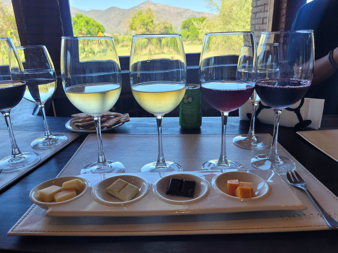 Emiliana Organic Vineyards-卡萨布兰卡必去景点