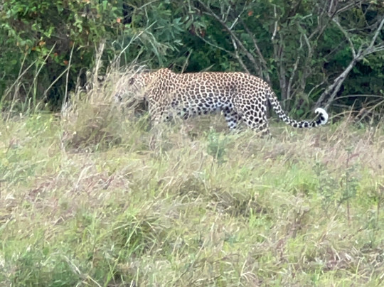 Aventura En Africa-纳罗克必去景点