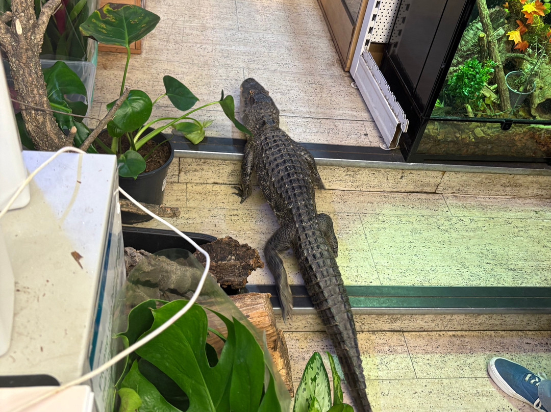 Crocs R Us-Filton必去景点