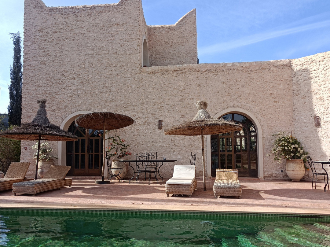 Riad Bini- Ddik主图