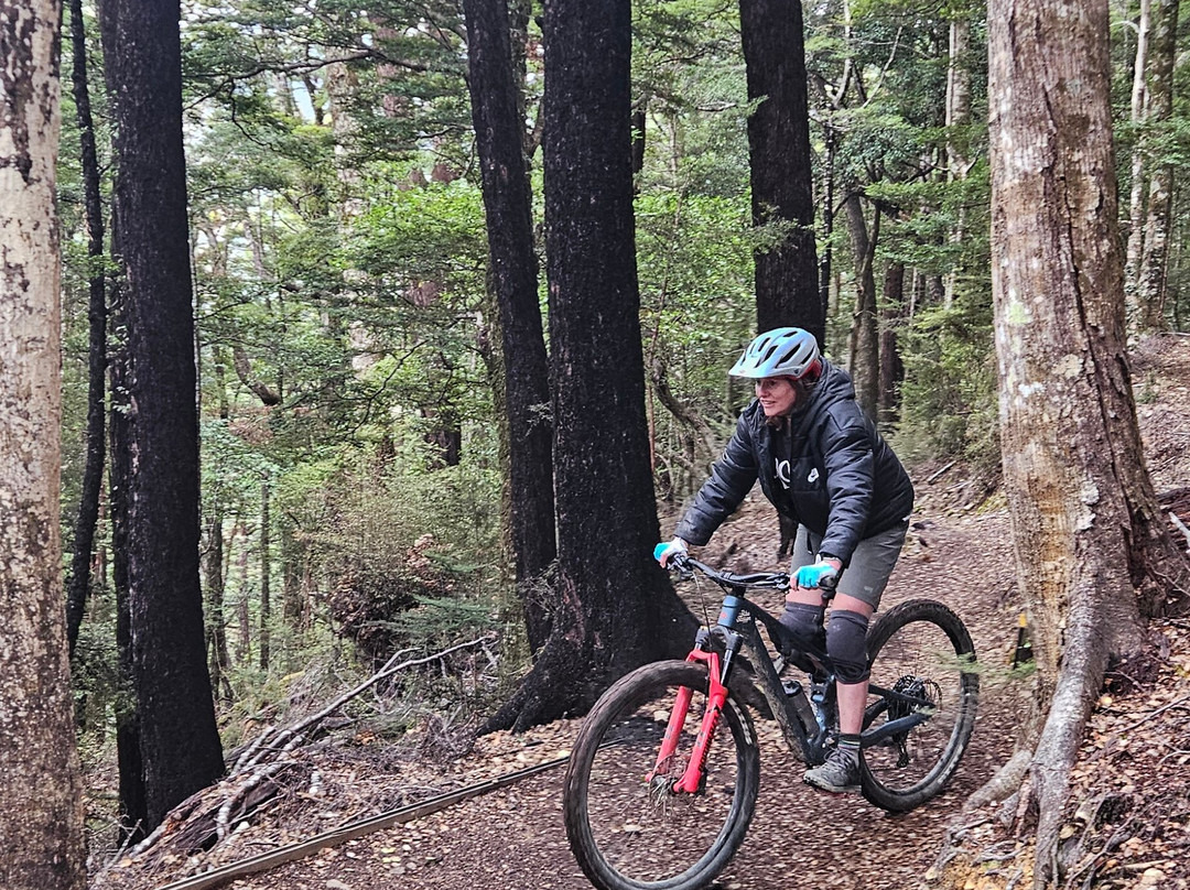 The Gorge Mountain Bike Park景点图片