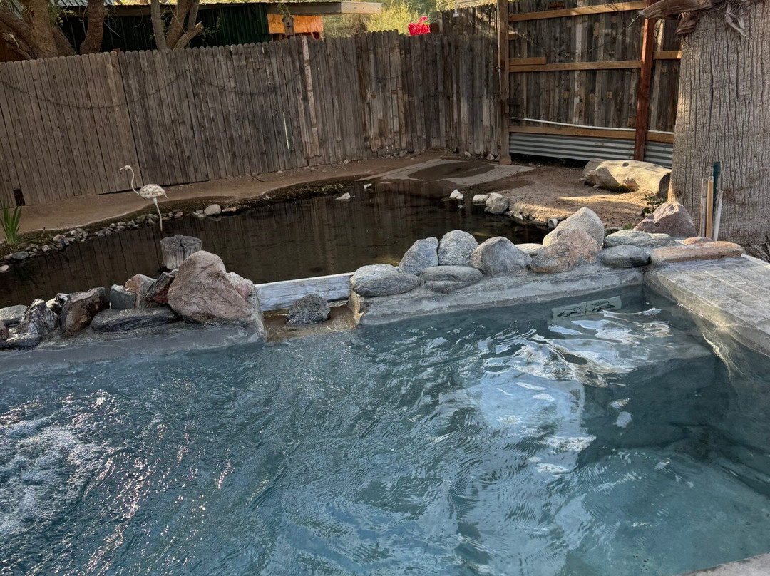 El Dorado Hot Springs-Tonopah必去景点