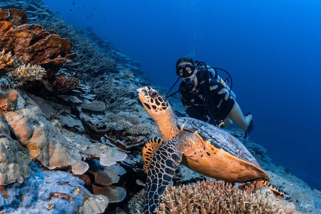 马尔代夫哈达哈岛柏悦酒店主图