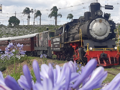 TREM MARIA FUMACA GRAMADO-格拉玛多必去景点