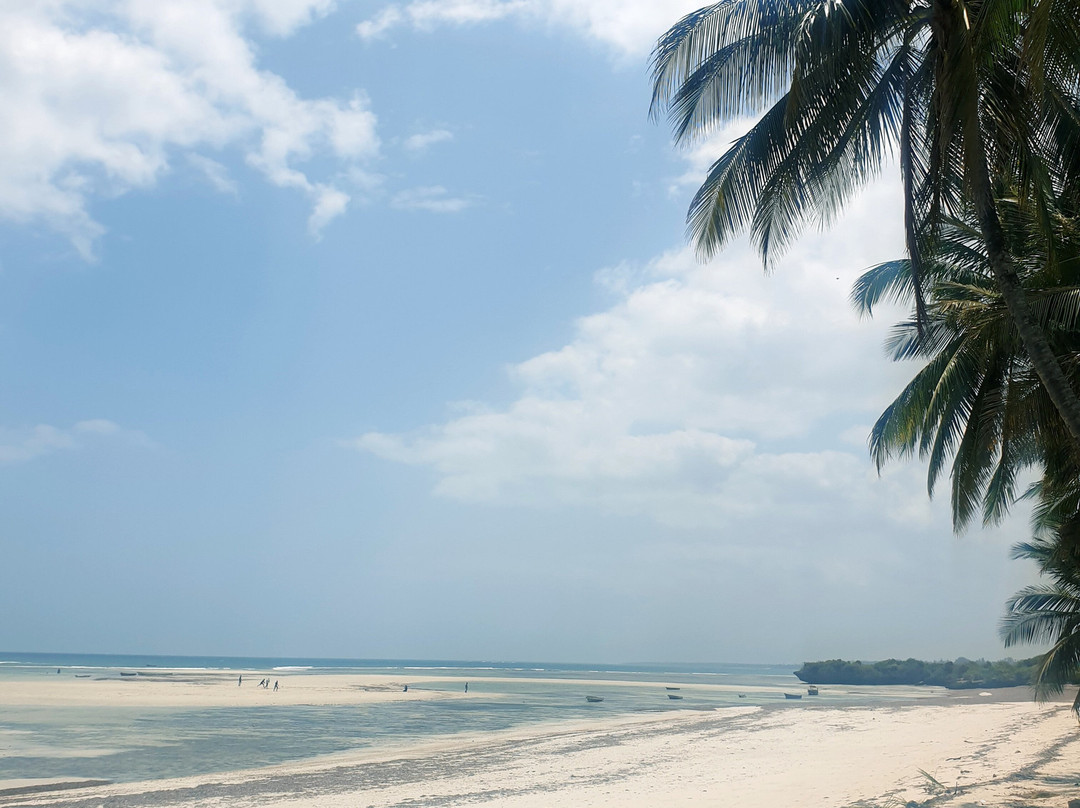 Hidden Paradise Beach Cottages Msambweni主图