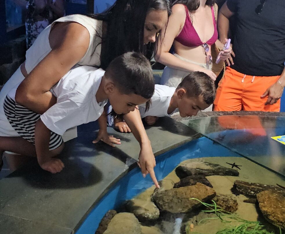 Ubatuba Aquarium-乌巴图巴必去景点
