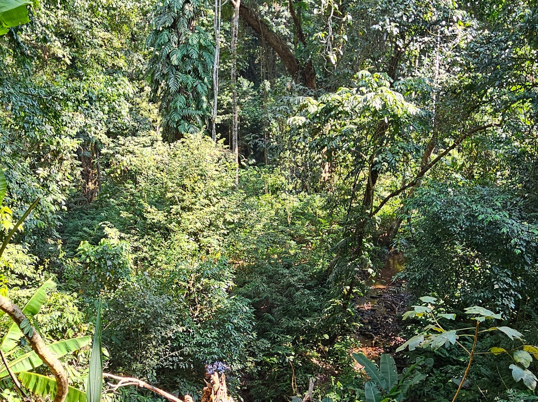 Phou Iu Travel & Ecotourism-琅南塔必去景点