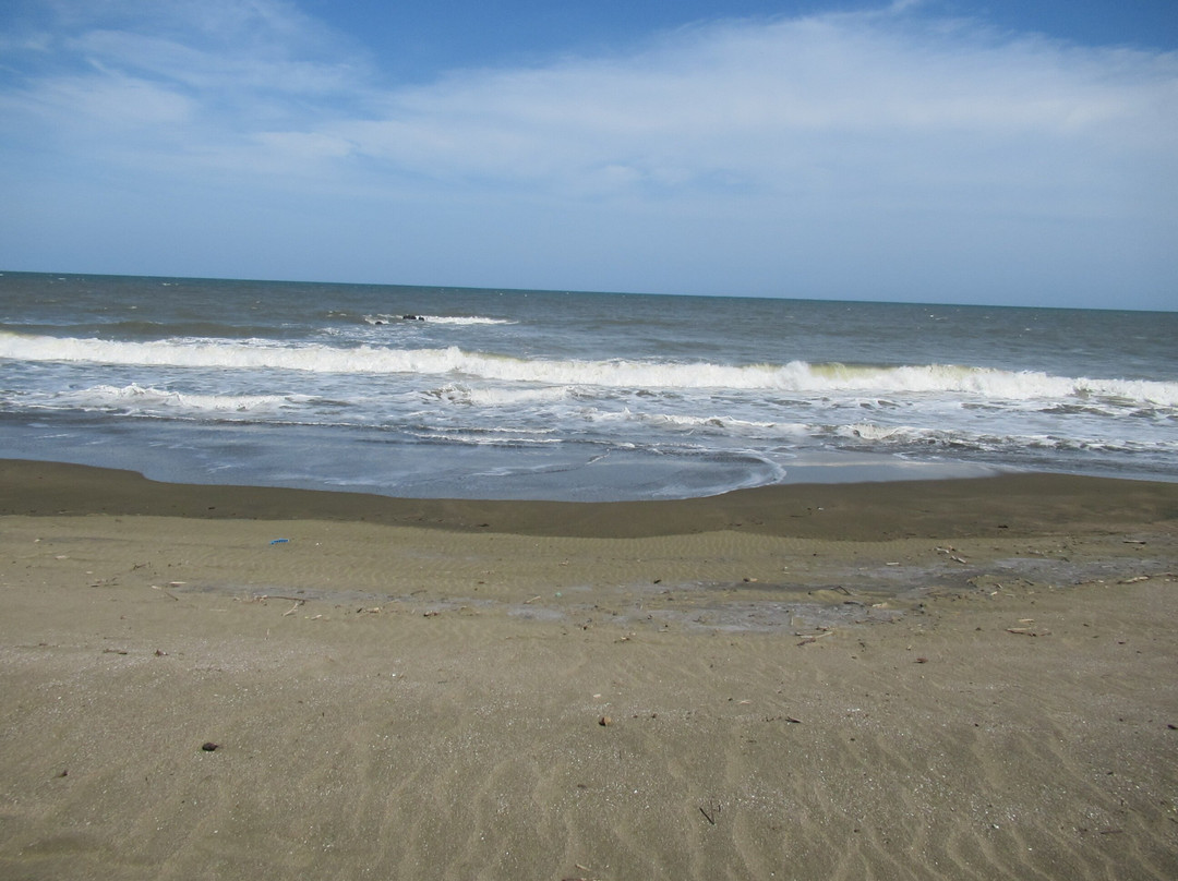 Playa Toro景点图片