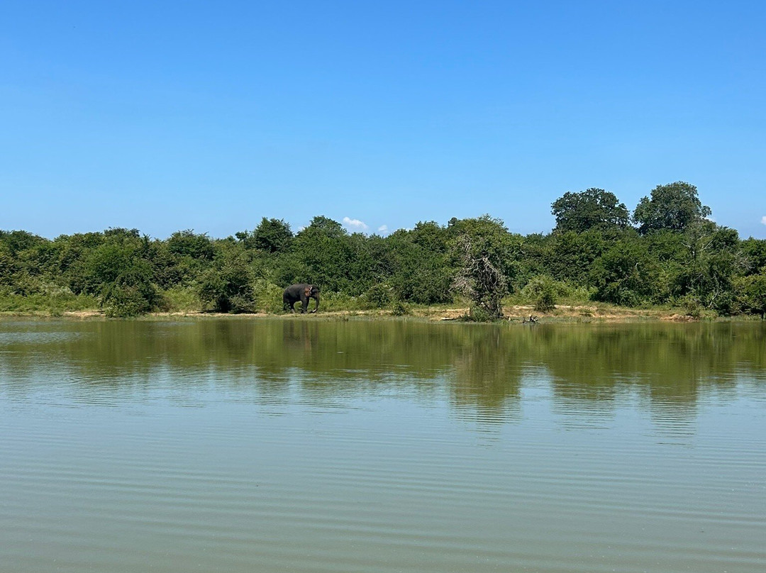 Udawalawe National Park Safari-乌达瓦拉瓦必去景点