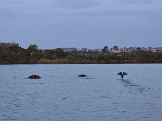 Daniel lakew-巴哈尔达尔必去景点