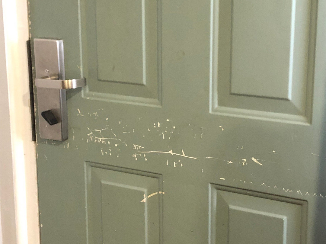 Crystal Lodge Motel主图