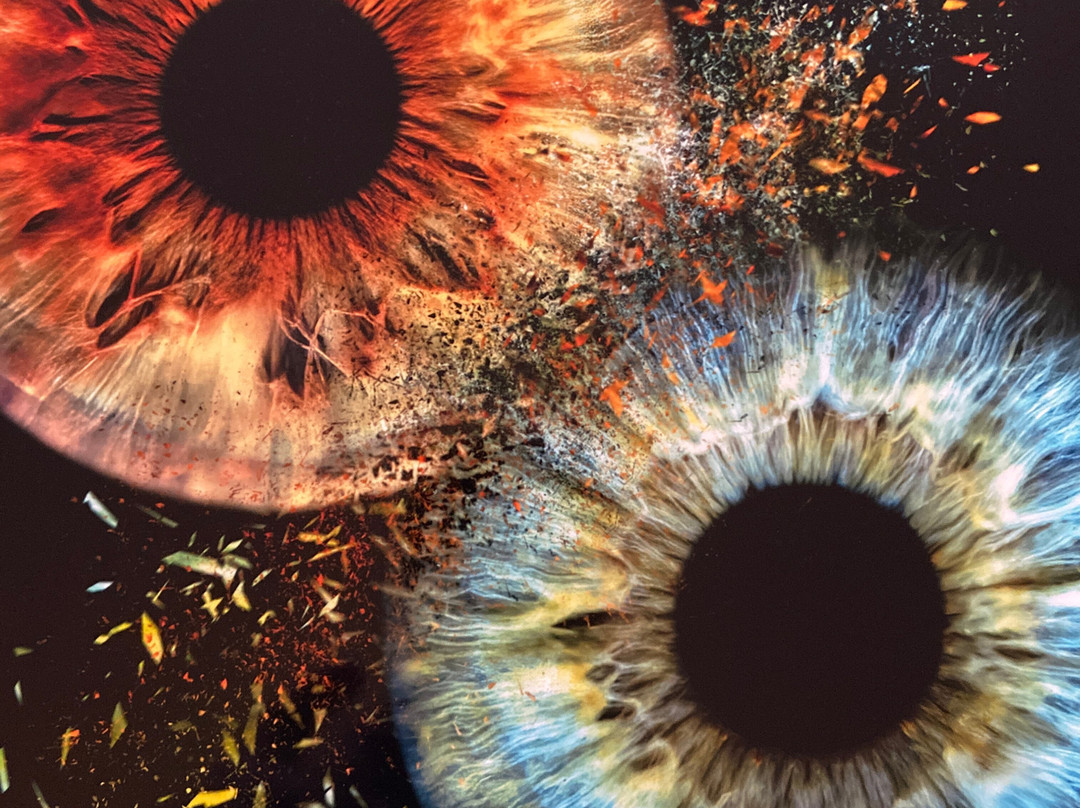 Artful Eye Creations-圣彼德斯堡必去景点