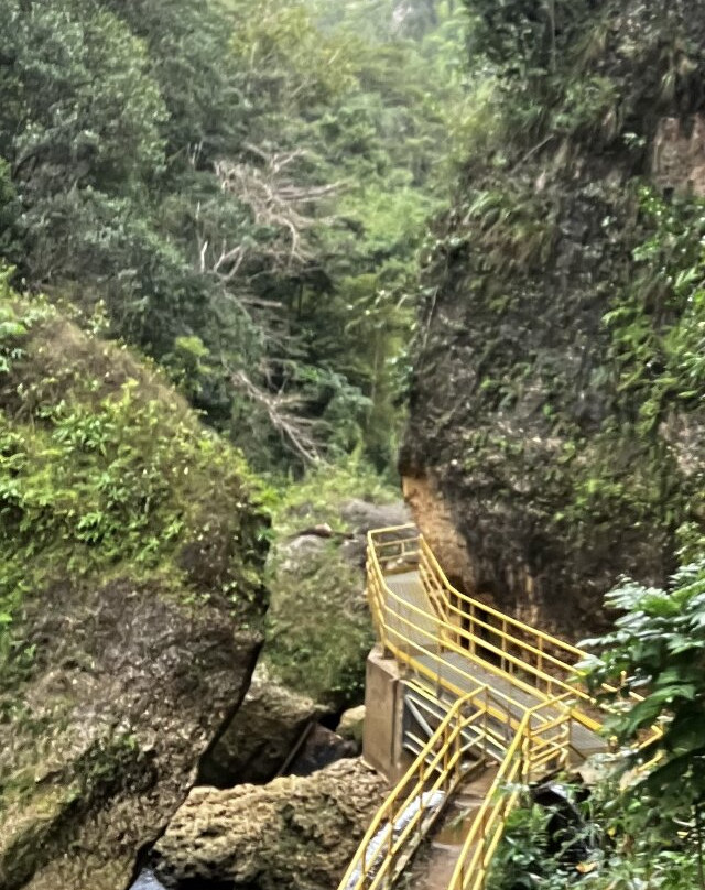 Rio La Planta景点图片