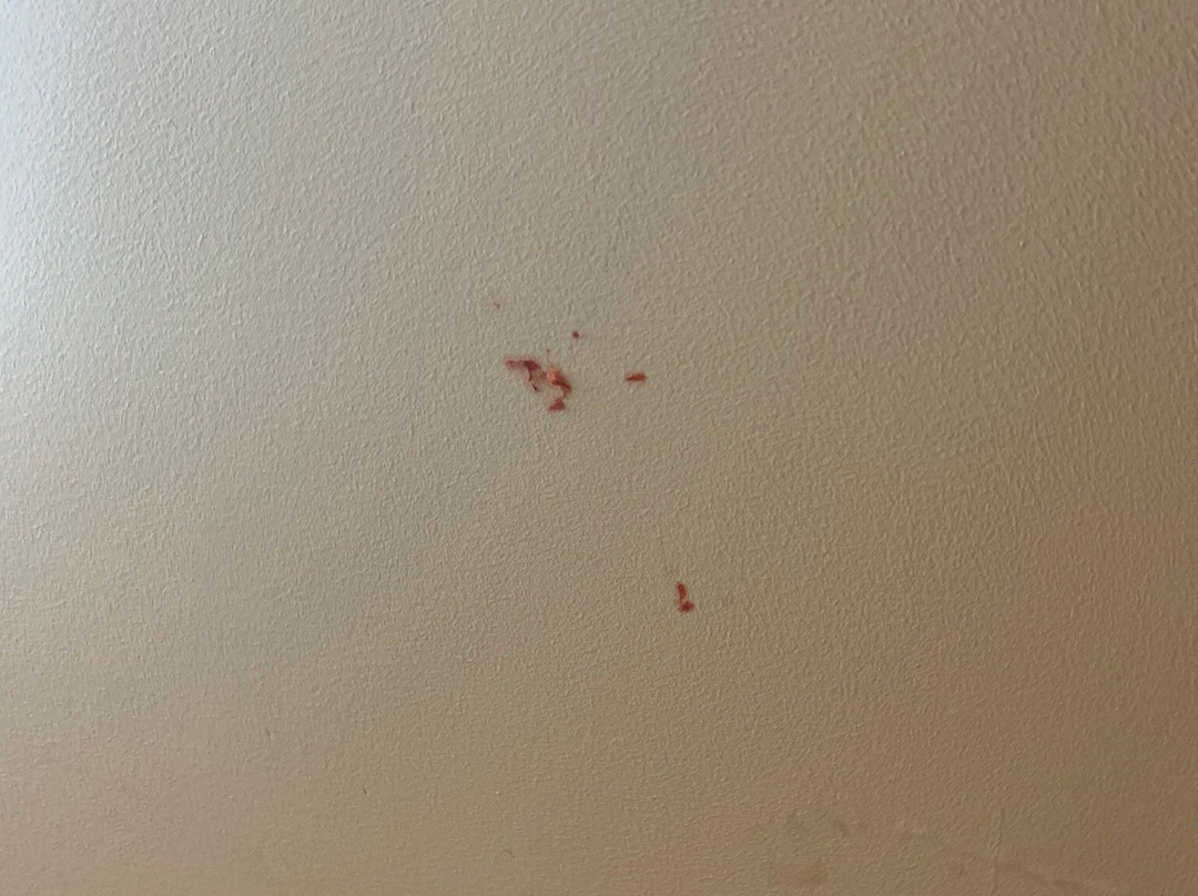 Best Western Bennington主图